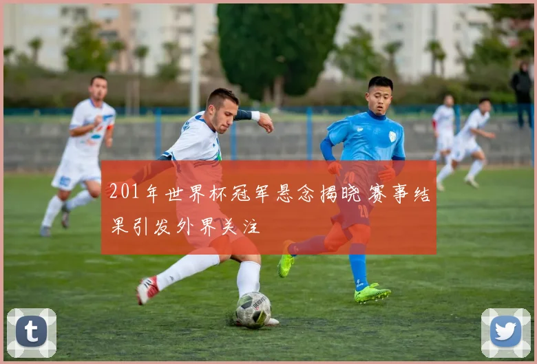 201年世界杯冠军悬念揭晓 赛事结果引发外界关注